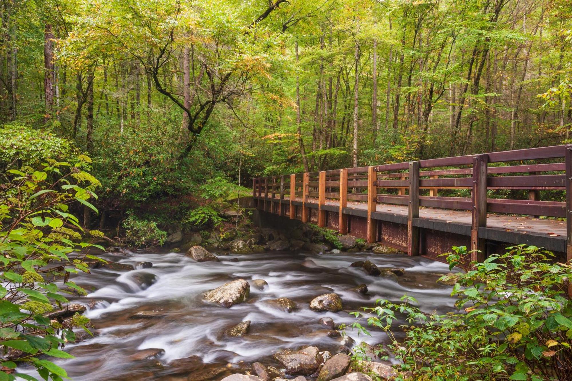 Tranquility Hollow, Indoor Pool, Game Room, 1089 Free Tickets Each Paid Day, Dollywood And More! Sevierville Buitenkant foto